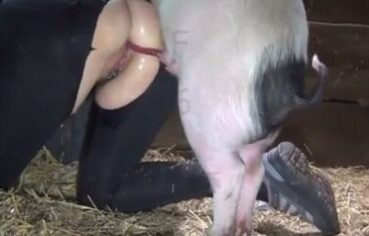 Mulher transando com porco que goza dentro dela